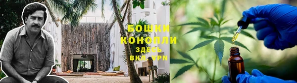 ПСИЛОЦИБИНОВЫЕ ГРИБЫ Кулебаки