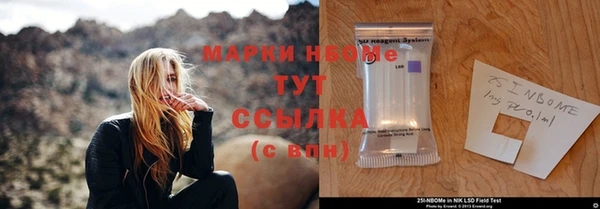 ПСИЛОЦИБИНОВЫЕ ГРИБЫ Кулебаки
