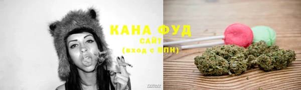 ПСИЛОЦИБИНОВЫЕ ГРИБЫ Кулебаки