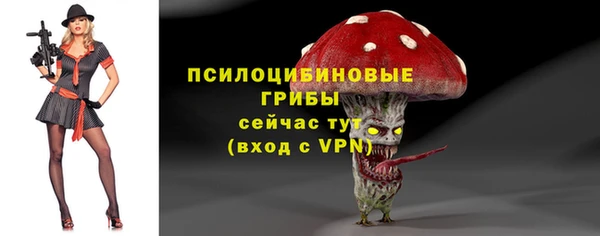ПСИЛОЦИБИНОВЫЕ ГРИБЫ Кулебаки