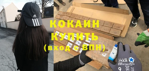 ПСИЛОЦИБИНОВЫЕ ГРИБЫ Кулебаки