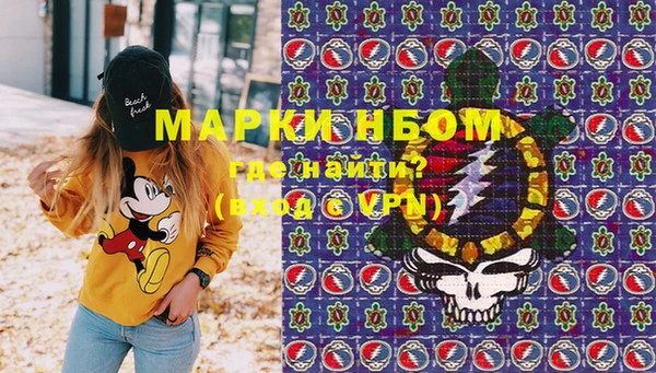 ПСИЛОЦИБИНОВЫЕ ГРИБЫ Кулебаки