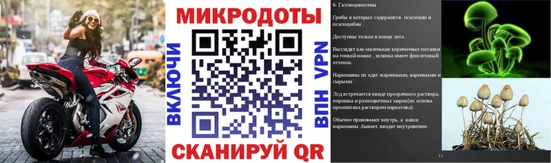 KRAKEN   Мыски  Галлюциногенные грибы мухоморы 