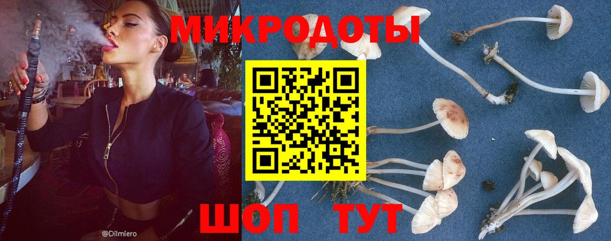 Галлюциногенные грибы GOLDEN TEACHER  где купить наркоту  Галлюциногенные грибы прущие грибы  Мыски  Вход с VPN 